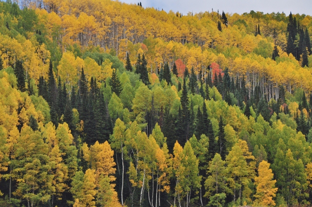 Crested Butte